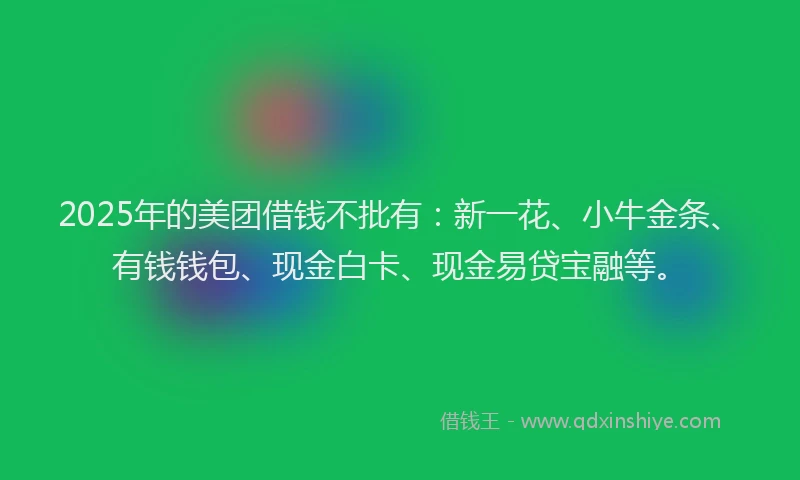 2025年的美团借钱不批有：新一花、小牛金条、有钱钱包、现金白卡、现金易贷宝融等。