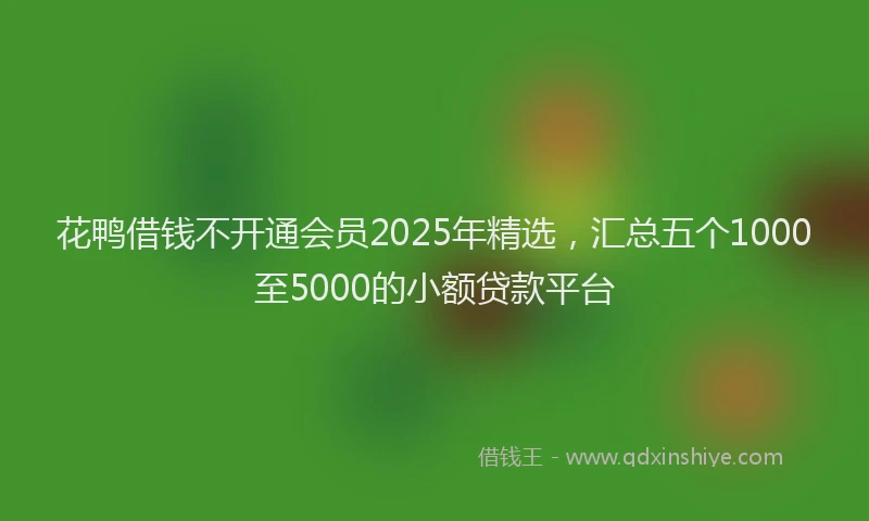 花鸭借钱不开通会员2025年精选，汇总五个1000至5000的小额贷款平台