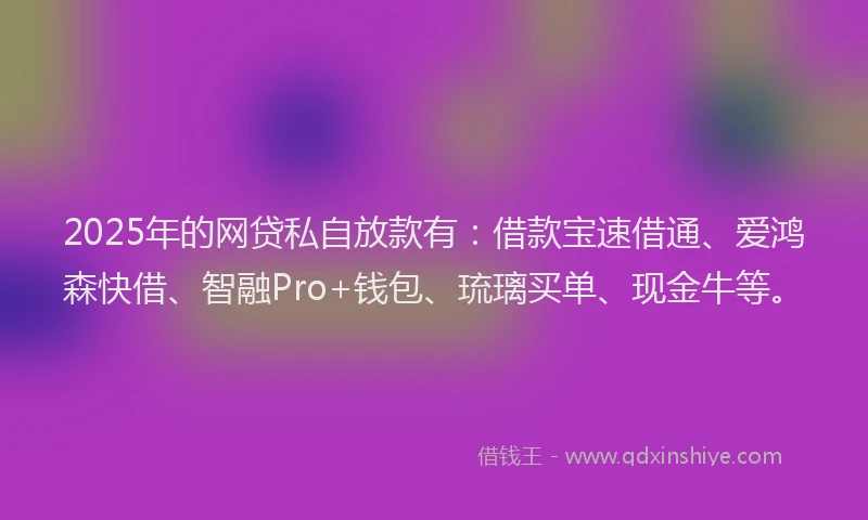 2025年的网贷私自放款有：借款宝速借通、爱鸿森快借、智融Pro+钱包、琉璃买单、现金牛等。