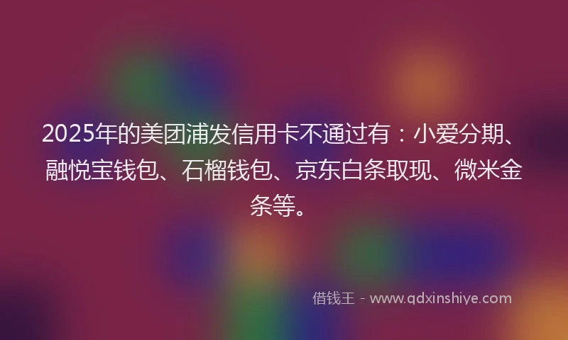 2025年的美团浦发信用卡不通过有：小爱分期、融悦宝钱包、石榴钱包、京东白条取现、微米金条等。