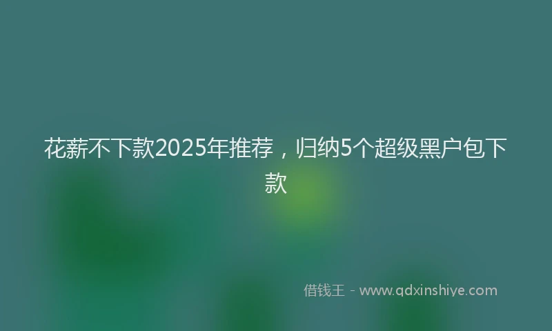 花薪不下款2025年推荐，归纳5个超级黑户包下款