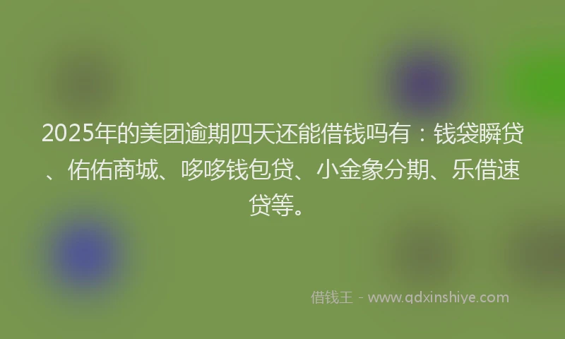 2025年的美团逾期四天还能借钱吗有：钱袋瞬贷、佑佑商城、哆哆钱包贷、小金象分期、乐借速贷等。
