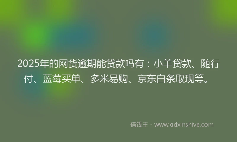 2025年的网货逾期能贷款吗有：小羊贷款、随行付、蓝莓买单、多米易购、京东白条取现等。