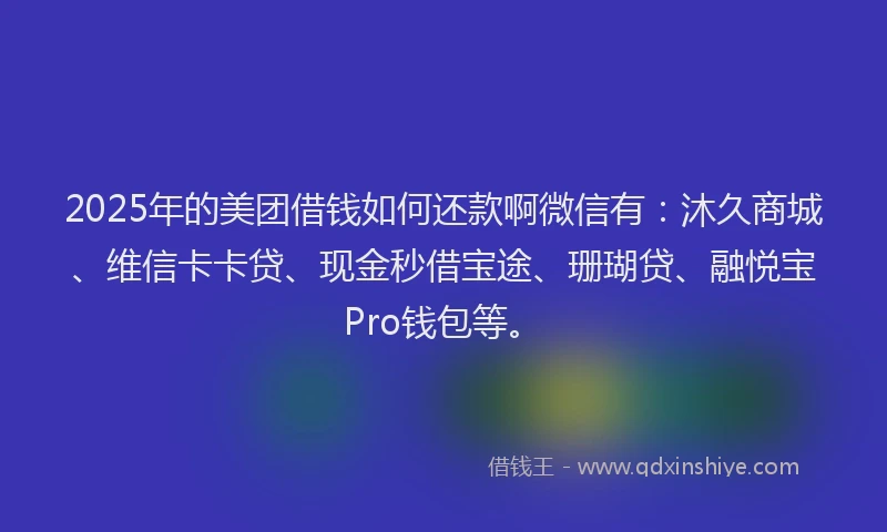 2025年的美团借钱如何还款啊微信有：沐久商城、维信卡卡贷、现金秒借宝途、珊瑚贷、融悦宝Pro钱包等。