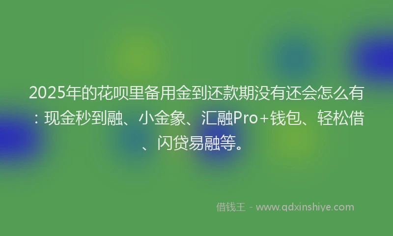 2025年的花呗里备用金到还款期没有还会怎么有：现金秒到融、小金象、汇融Pro+钱包、轻松借、闪贷易融等。