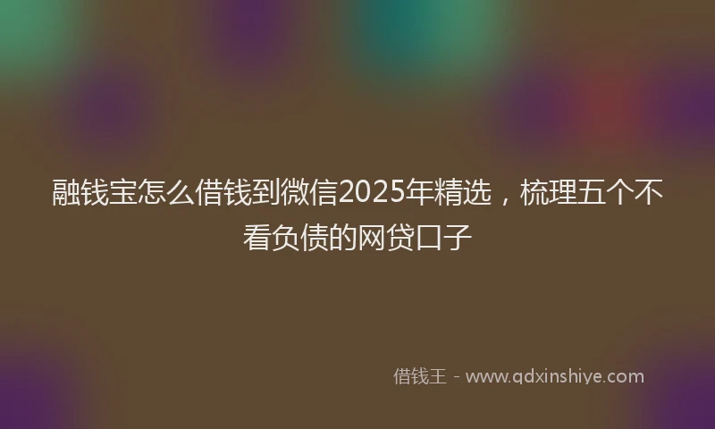 融钱宝怎么借钱到微信2025年精选，梳理五个不看负债的网贷口子