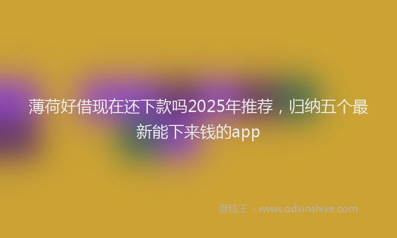 薄荷好借现在还下款吗2025年推荐，归纳五个最新能下来钱的app