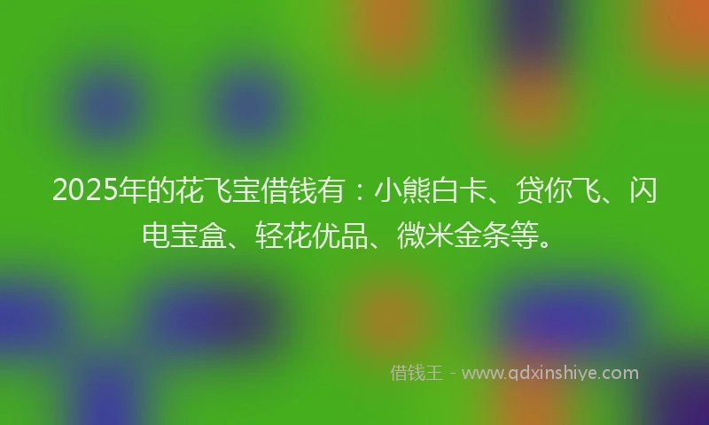 2025年的花飞宝借钱有：小熊白卡、贷你飞、闪电宝盒、轻花优品、微米金条等。