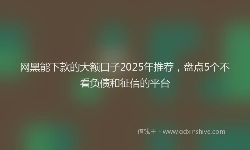 网黑能下款的大额口子2025年推荐，盘点5个不看负债和征信的平台