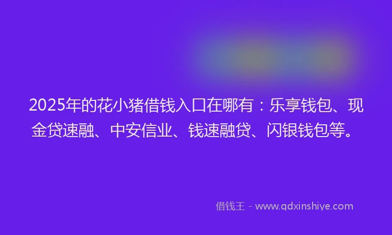 2025年的花小猪借钱入口在哪有：乐享钱包、现金贷速融、中安信业、钱速融贷、闪银钱包等。