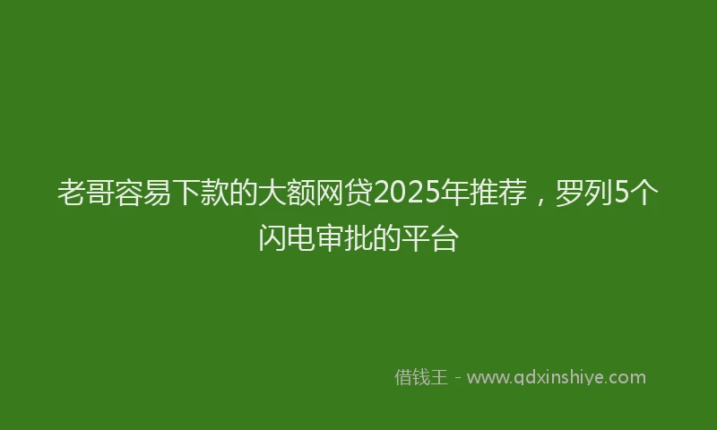 老哥容易下款的大额网贷2025年推荐，罗列5个闪电审批的平台