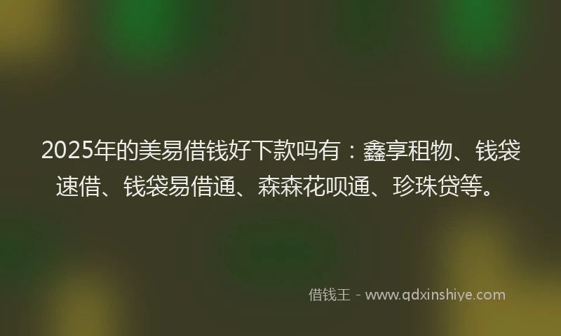 2025年的美易借钱好下款吗有：鑫享租物、钱袋速借、钱袋易借通、森森花呗通、珍珠贷等。