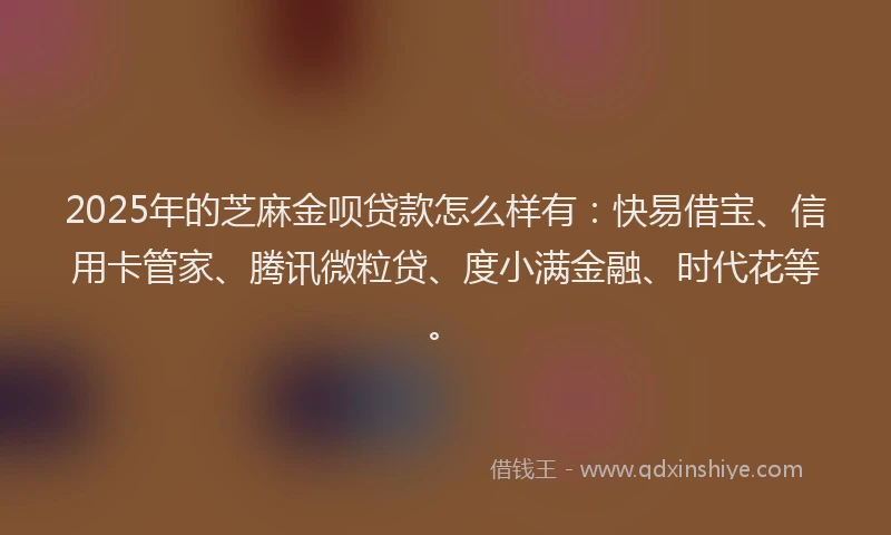 2025年的芝麻金呗贷款怎么样有：快易借宝、信用卡管家、腾讯微粒贷、度小满金融、时代花等。