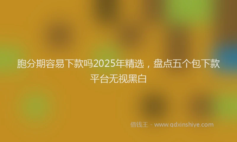胞分期容易下款吗2025年精选，盘点五个包下款平台无视黑白