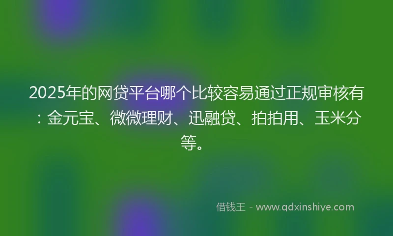 2025年的网贷平台哪个比较容易通过正规审核有：金元宝、微微理财、迅融贷、拍拍用、玉米分等。