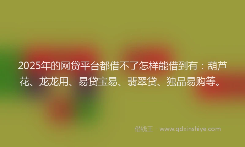 2025年的网贷平台都借不了怎样能借到有：葫芦花、龙龙用、易贷宝易、翡翠贷、独品易购等。
