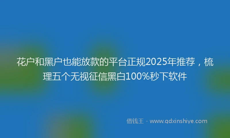 花户和黑户也能放款的平台正规2025年推荐，梳理五个无视征信黑白100%秒下软件