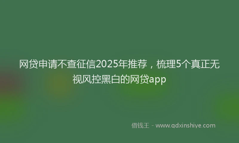 网贷申请不查征信2025年推荐，梳理5个真正无视风控黑白的网贷app