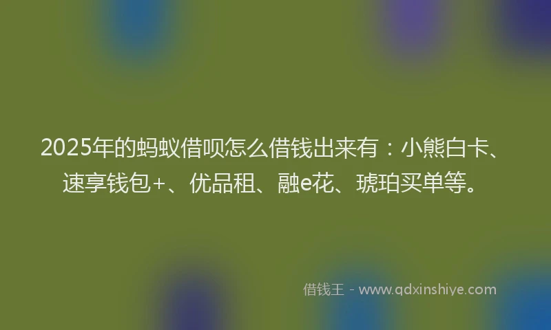 2025年的蚂蚁借呗怎么借钱出来有：小熊白卡、速享钱包+、优品租、融e花、琥珀买单等。