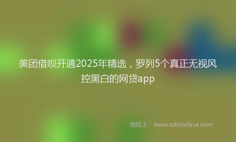 美团借呗开通2025年精选，罗列5个真正无视风控黑白的网贷app