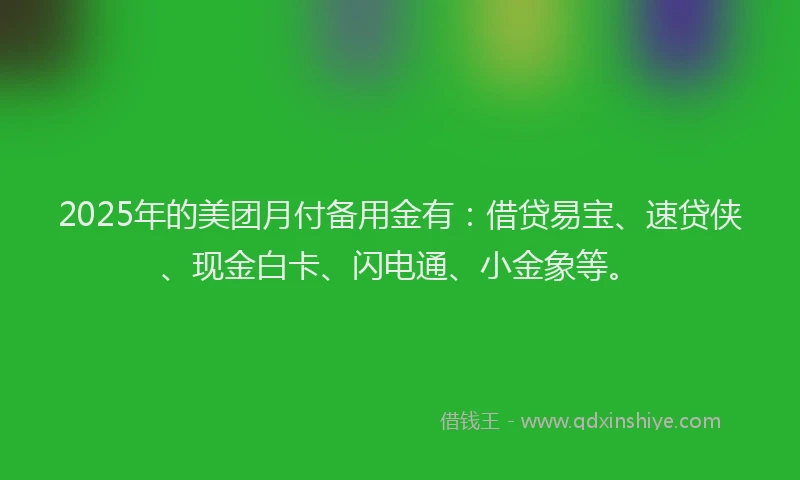 2025年的美团月付备用金有：借贷易宝、速贷侠、现金白卡、闪电通、小金象等。
