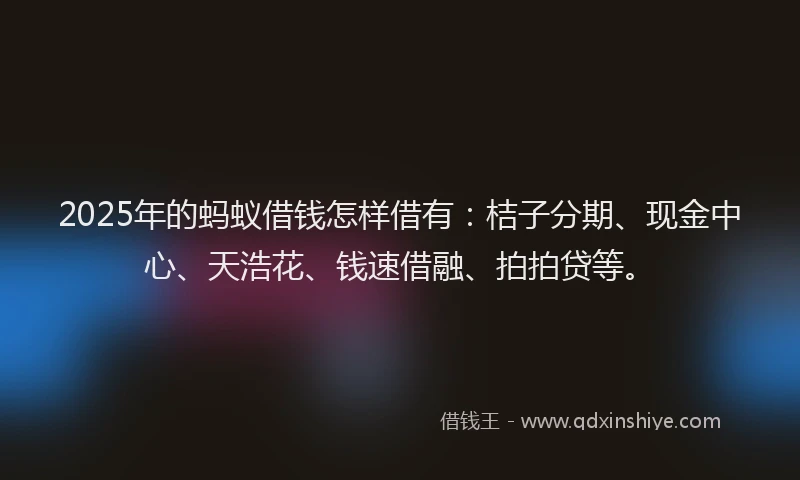 2025年的蚂蚁借钱怎样借有：桔子分期、现金中心、天浩花、钱速借融、拍拍贷等。