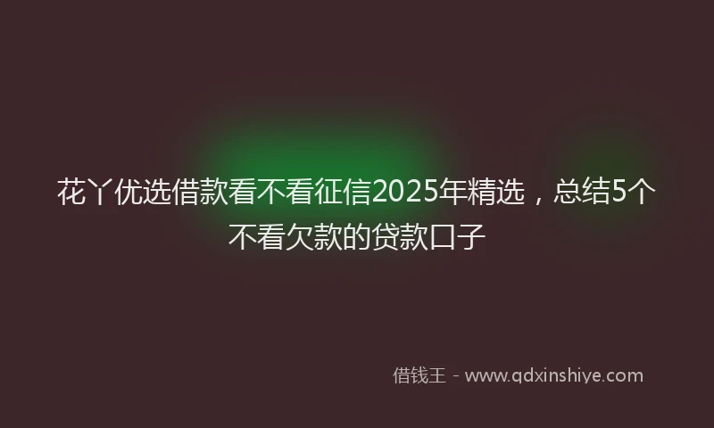 花丫优选借款看不看征信2025年精选，总结5个不看欠款的贷款口子