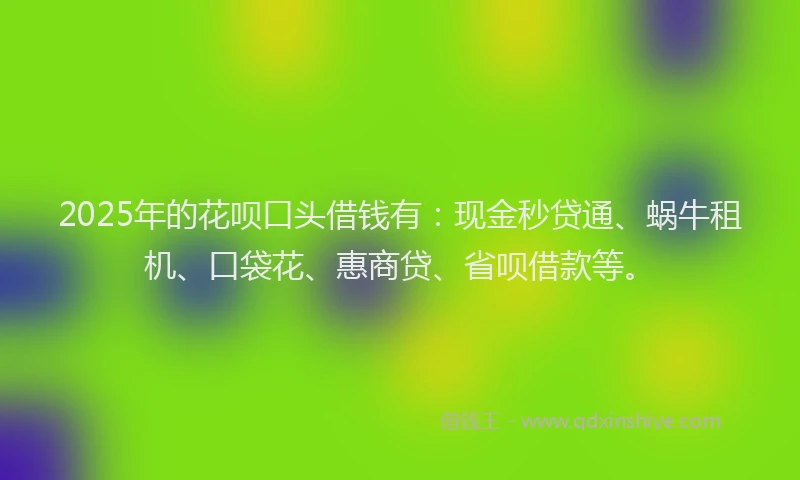 2025年的花呗口头借钱有：现金秒贷通、蜗牛租机、口袋花、惠商贷、省呗借款等。