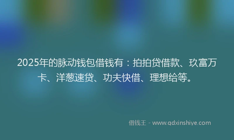 2025年的脉动钱包借钱有：拍拍贷借款、玖富万卡、洋葱速贷、功夫快借、理想给等。