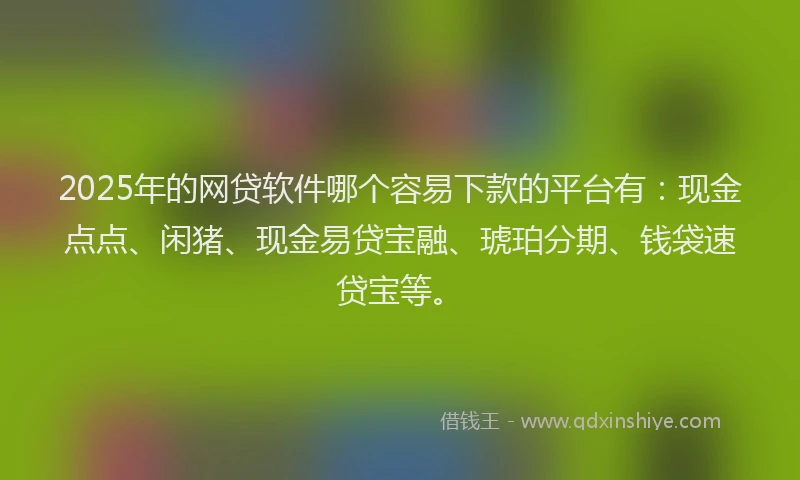 2025年的网贷软件哪个容易下款的平台有：现金点点、闲猪、现金易贷宝融、琥珀分期、钱袋速贷宝等。