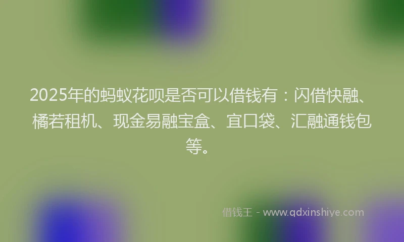 2025年的蚂蚁花呗是否可以借钱有：闪借快融、橘若租机、现金易融宝盒、宜口袋、汇融通钱包等。