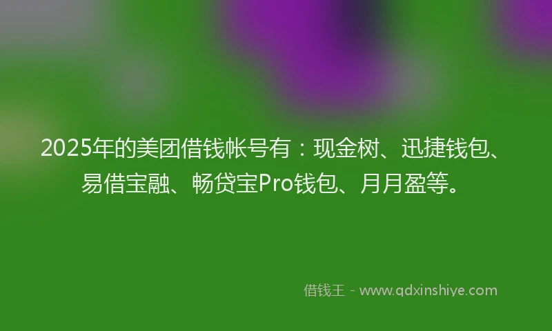 2025年的美团借钱帐号有：现金树、迅捷钱包、易借宝融、畅贷宝Pro钱包、月月盈等。
