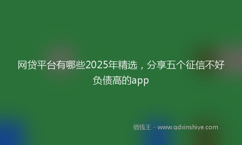 网贷平台有哪些2025年精选，分享五个征信不好负债高的app
