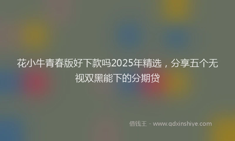 花小牛青春版好下款吗2025年精选，分享五个无视双黑能下的分期贷