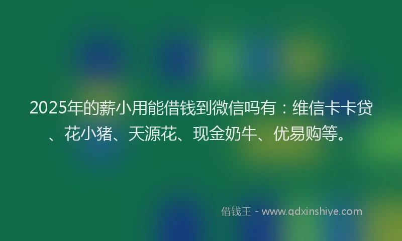 2025年的薪小用能借钱到微信吗有：维信卡卡贷、花小猪、天源花、现金奶牛、优易购等。