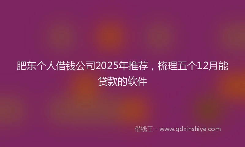 肥东个人借钱公司2025年推荐，梳理五个12月能贷款的软件