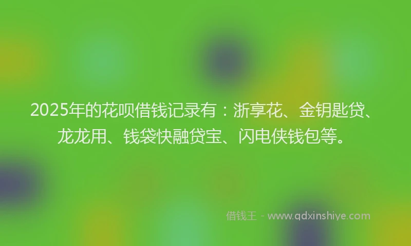 2025年的花呗借钱记录有：浙享花、金钥匙贷、龙龙用、钱袋快融贷宝、闪电侠钱包等。