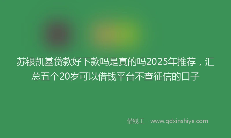 苏银凯基贷款好下款吗是真的吗2025年推荐，汇总五个20岁可以借钱平台不查征信的口子