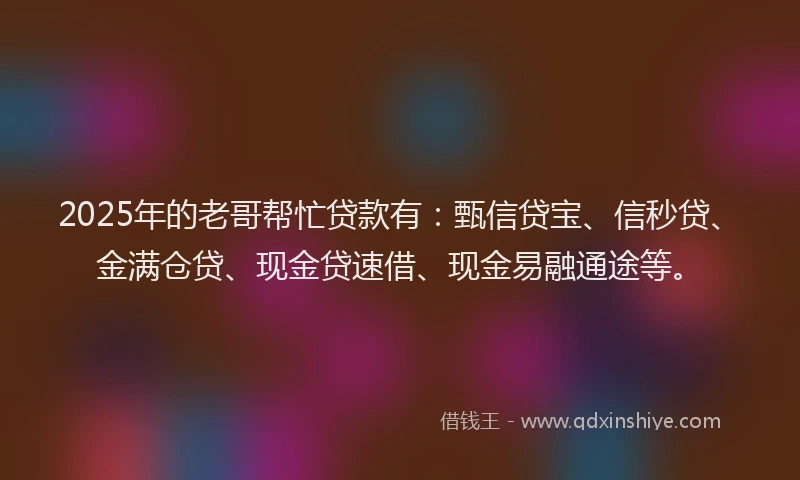 2025年的老哥帮忙贷款有：甄信贷宝、信秒贷、金满仓贷、现金贷速借、现金易融通途等。