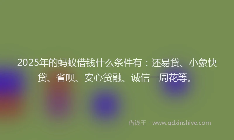 2025年的蚂蚁借钱什么条件有：还易贷、小象快贷、省呗、安心贷融、诚信一周花等。