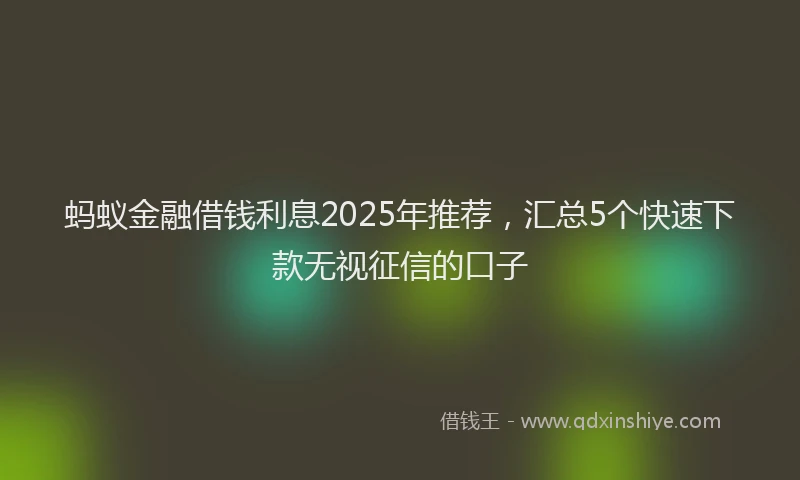 蚂蚁金融借钱利息2025年推荐，汇总5个快速下款无视征信的口子