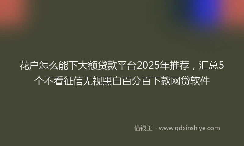 花户怎么能下大额贷款平台2025年推荐，汇总5个不看征信无视黑白百分百下款网贷软件