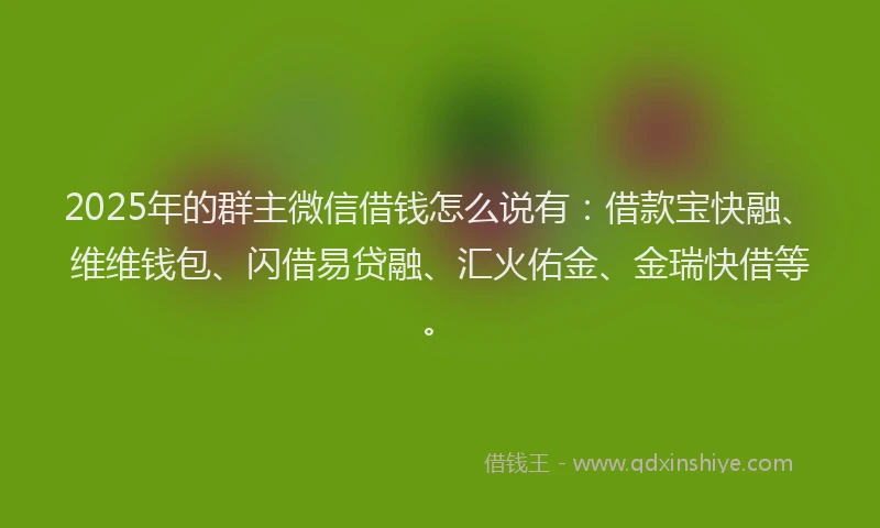 2025年的群主微信借钱怎么说有：借款宝快融、维维钱包、闪借易贷融、汇火佑金、金瑞快借等。