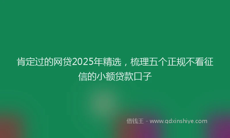 肯定过的网贷2025年精选，梳理五个正规不看征信的小额贷款口子