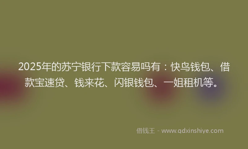 2025年的苏宁银行下款容易吗有：快鸟钱包、借款宝速贷、钱来花、闪银钱包、一姐租机等。