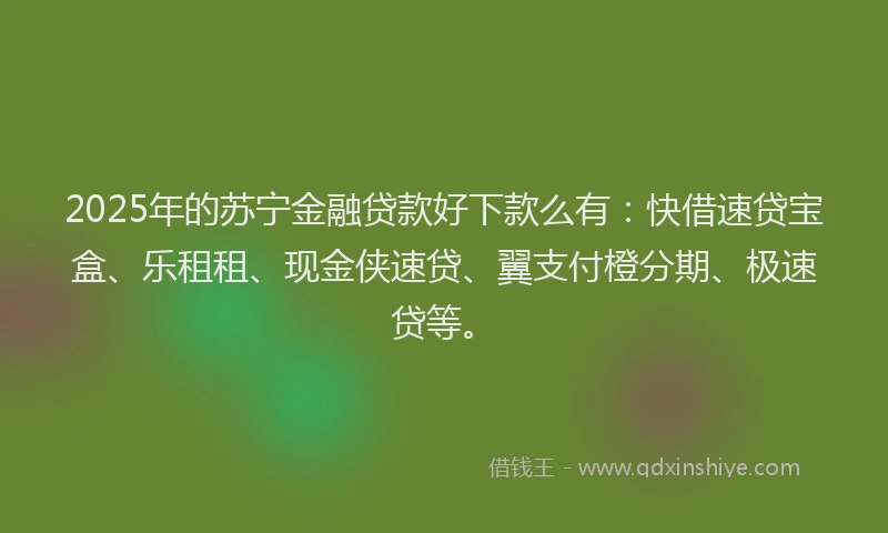 2025年的苏宁金融贷款好下款么有：快借速贷宝盒、乐租租、现金侠速贷、翼支付橙分期、极速贷等。