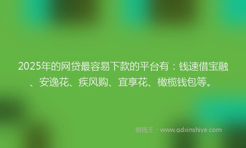 2025年的网贷最容易下款的平台有：钱速借宝融、安逸花、疾风购、宜享花、橄榄钱包等。
