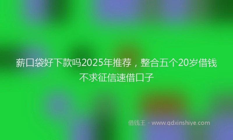 薪口袋好下款吗2025年推荐，整合五个20岁借钱不求征信速借口子