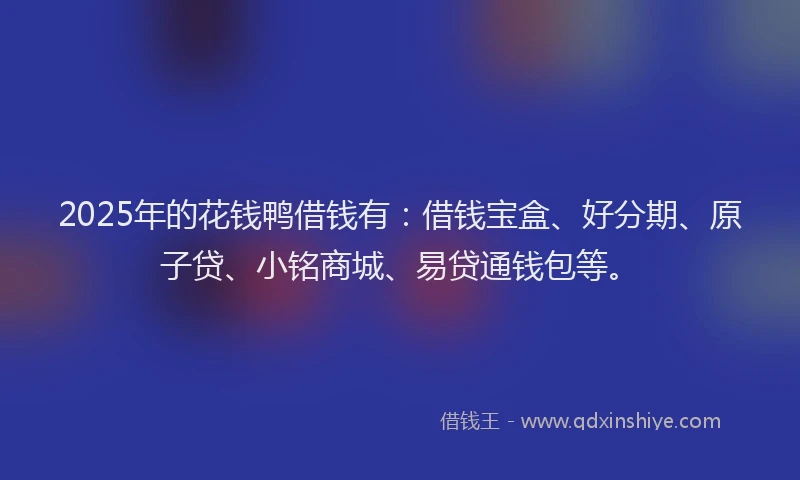 2025年的花钱鸭借钱有：借钱宝盒、好分期、原子贷、小铭商城、易贷通钱包等。
