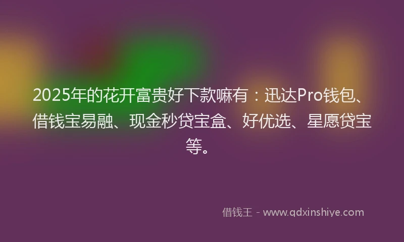 2025年的花开富贵好下款嘛有：迅达Pro钱包、借钱宝易融、现金秒贷宝盒、好优选、星愿贷宝等。